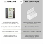 ALTN4-05 - Althernathé blanc en infusette