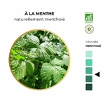 ALTN12-01 - Alternathé Menthe en tube