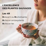 ALTN3-06 - Alternathé Menthe en dosette