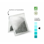 ALTN1-01 - Emeraude en infusettes