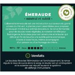 ALTN1-02 - Emeraude en infusettes