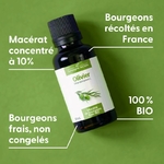 olivier-macerat-de-bourgeons-bio (1)