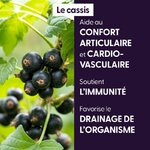 cassis-macerat-de-bourgeons-bio (4)