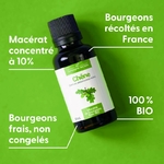 chene-macerat-de-bourgeons-bio (4)