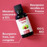 figuier-macerat-de-bourgeons-bio (4)