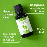 frene-macerat-de-bourgeons-bio