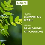 frene-macerat-de-bourgeons-bio (4)