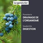 genevrier-macerat-de-bourgeons-bio (2)