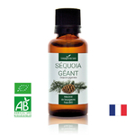 sequoia-geant-macerat-de-bourgeons-bio (5)
