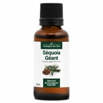 sequoia-geant-macerat-de-bourgeons-bio