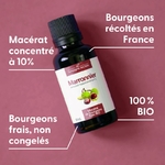 marronnier-macerat-de-bourgeons-bio (1)
