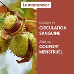marronnier-macerat-de-bourgeons-bio (2)