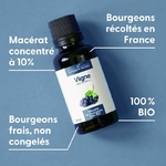 vigne-macerat-de-bourgeons-bio (1)