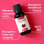 vigne-vierge-macerat-de-bourgeons-bio (1)
