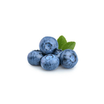 myrtillier-macerat-de-bourgeons-bio (3)