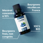 myrtillier-macerat-de-bourgeons-bio (1)
