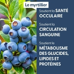 myrtillier-macerat-de-bourgeons-bio (2)