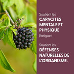 teinture-mere-eleutherocoque-bio (1)