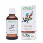 citronnier-bourgeon-bio-gemmotherapie