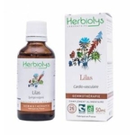 lilas-bourgeon-bio-gemmotherapie