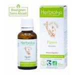 00005618 - Macérât Figuier sans alcool 30 ml