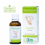 00005614 - Macérat Cassissier sans alcool 30 ml