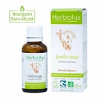 00005591 - Macérat Airelle sans alcool 30 ml