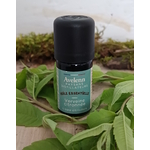 HE Verveine Citronnée
