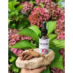 GI30-04- Teinture Ginseng Rouge 30 ml