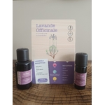 ACC006-02 - Carte Lavande officinale