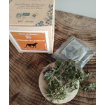INF1-03 - LEnergie du Guépard