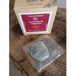 INF2-03 - Infusion La Trompe de lElephant