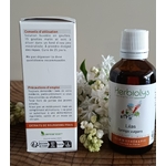 00002062-05 - Macérat Lilas 50 ml