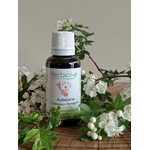 00005611-01 - Macérat Aubépine sans alcool 30 ml