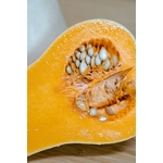 Photos gratuites de agriculture, aliments, automne