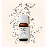 HECOOF10-02 - HE Copahu 10 ml