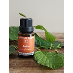 GEM2-1 - Gemmothérapie Aulne 15 ml