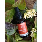 GEM40-04 - Gemmothérpie Cornouiller Sanguin 30 ml