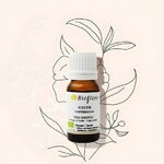huile-essentielle-de-ciste-ladanifere-bio