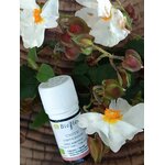 HECILA5-03 - HE Ciste 5 ml Bioflore
