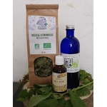 Mélisse Citronnée