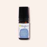 roll-on-nuit-etoilee