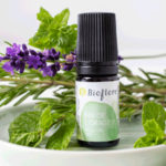 OLFATETB5-03 - Fin de lOrage