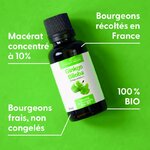 ginkgo-biloba-macerat-de-bourgeons-bio (1)