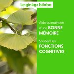 ginkgo-biloba-macerat-de-bourgeons-bio (2)