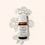 huile-essentielle-de-marjolaine-des-jardins-ou-a-coquilles-bio