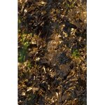 00001052-05 - TM Fucus 50 ml