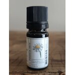I170-02 - HE Camomille Romaine 5 ml