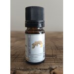 I860-02 - HE Gingembre 5 ml