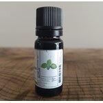 I144-02 - HE Basilic Exotique 10 ml